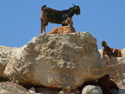 Article featured image