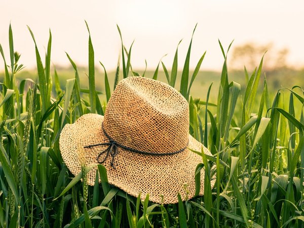 Article featured image