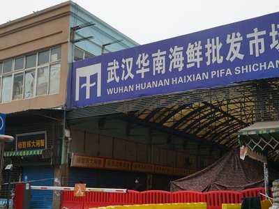 Article featured image