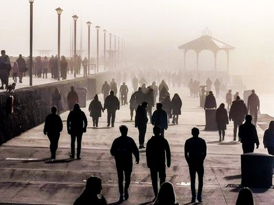Article featured image