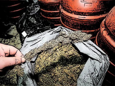 Article featured image