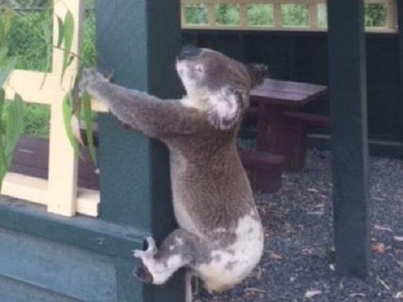 Article featured image