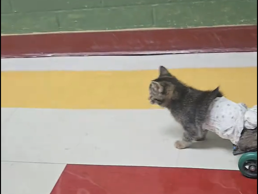 Article featured image