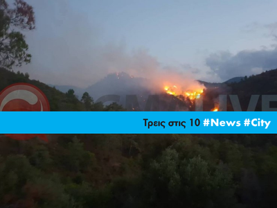 Article featured image