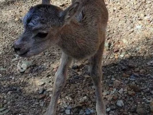 Article featured image