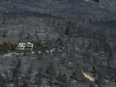Article featured image