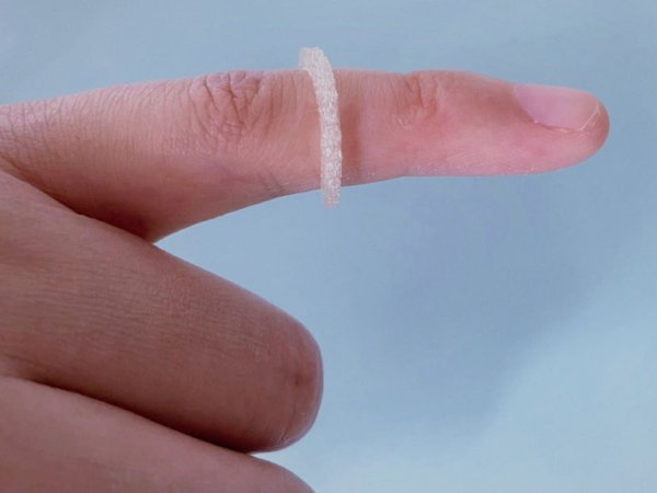 Article featured image