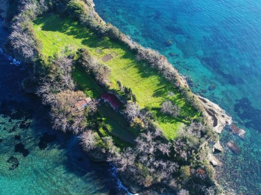 Article featured image