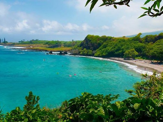 Article featured image