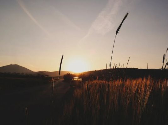 Article featured image