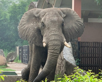 Article featured image