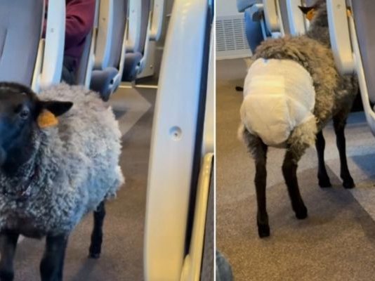 Article featured image