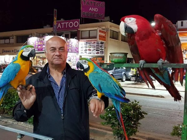 Article featured image