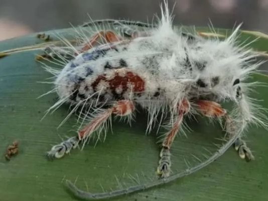 Article featured image