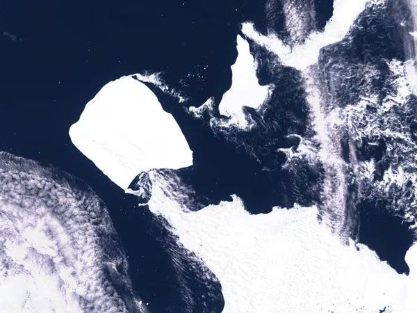 Article featured image