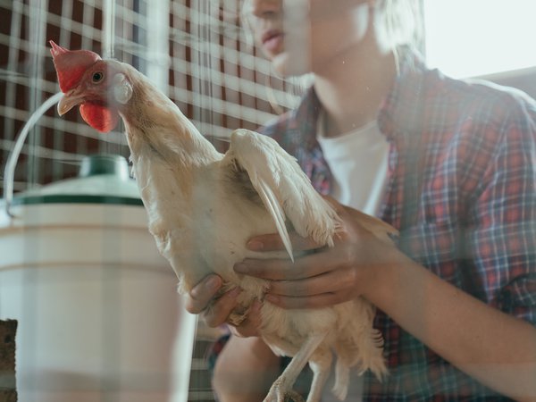 Article featured image