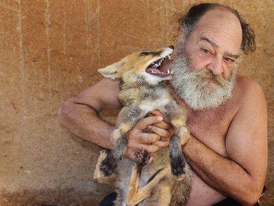 Article featured image