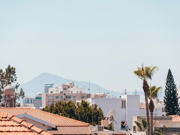 Article featured image