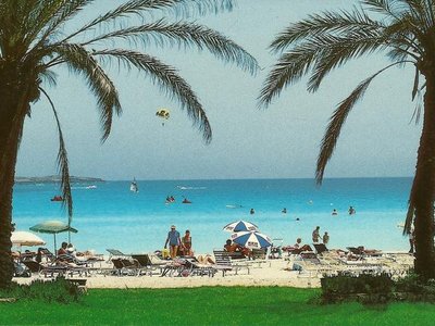 Article featured image