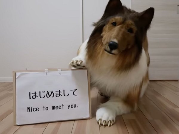 Article featured image