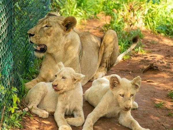 Article featured image