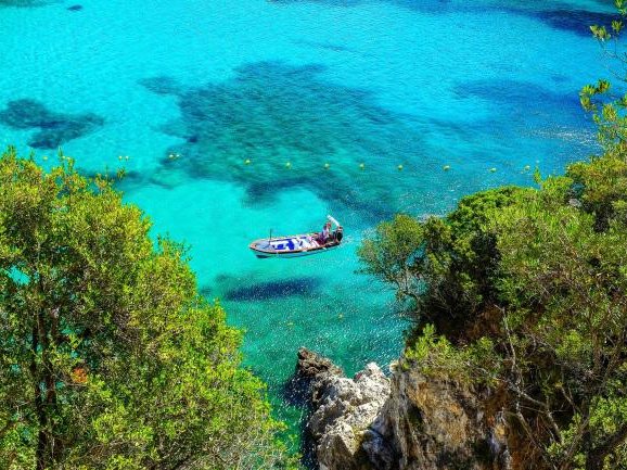 Article featured image