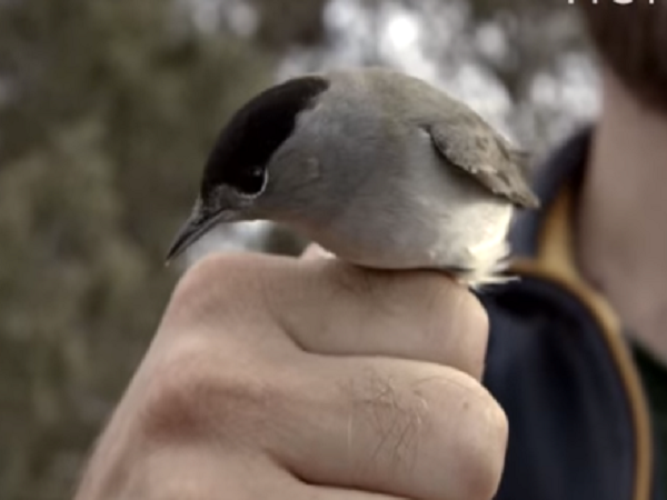 Article featured image