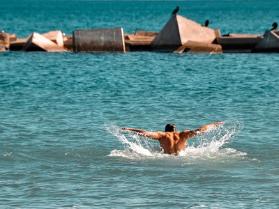 Article featured image