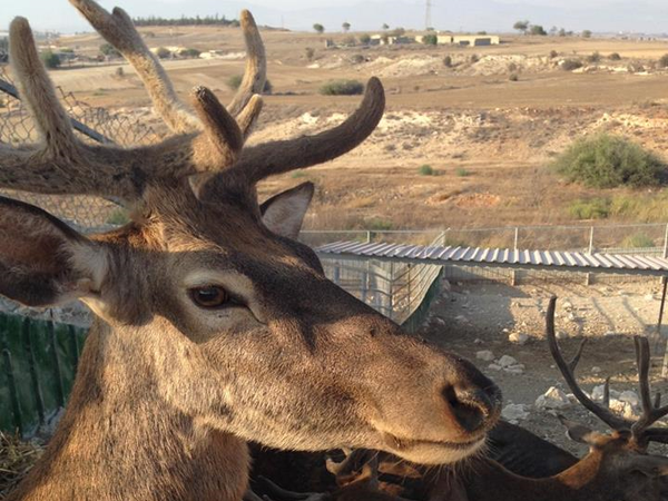 Article featured image