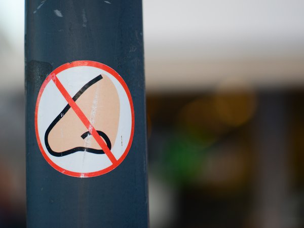 Article featured image