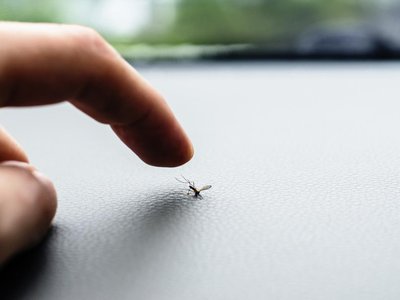 Article featured image