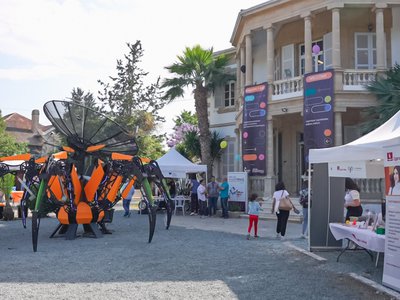 Article featured image