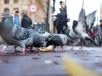 Article featured image