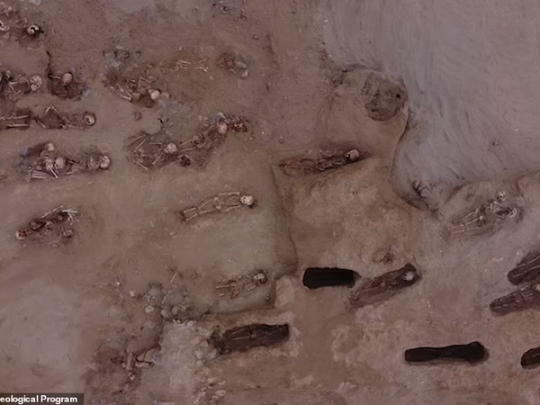 Article featured image