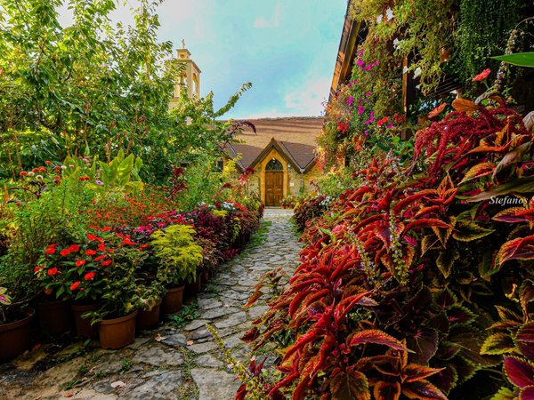 Article featured image