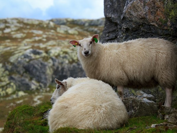 Article featured image