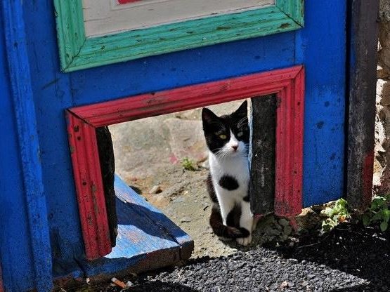 Article featured image