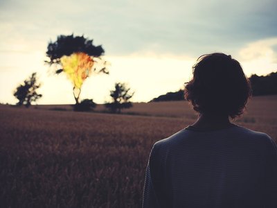 Article featured image