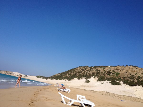 Article featured image