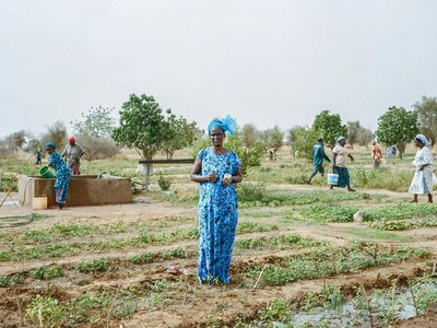 Article featured image