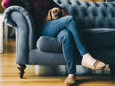 Article featured image