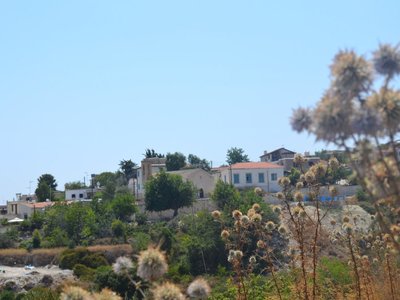 Article featured image