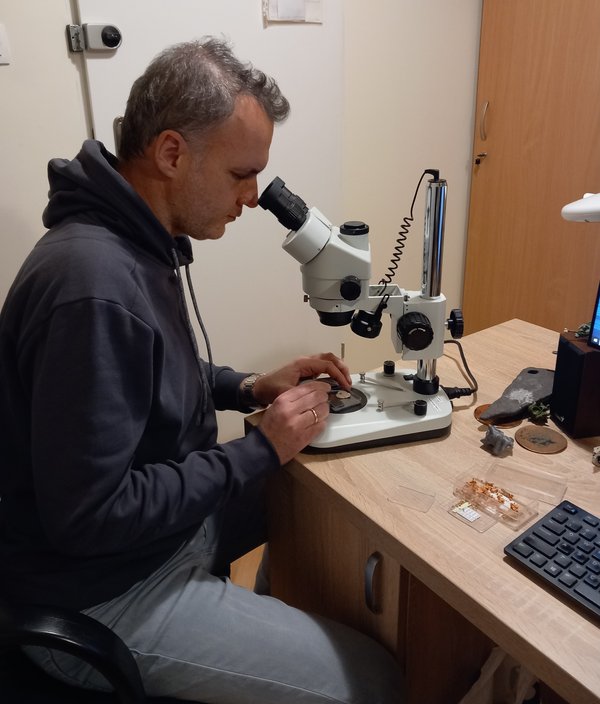 9092931021347.Εικονα 3. Γεωργαλης απολιθωματα.jpg