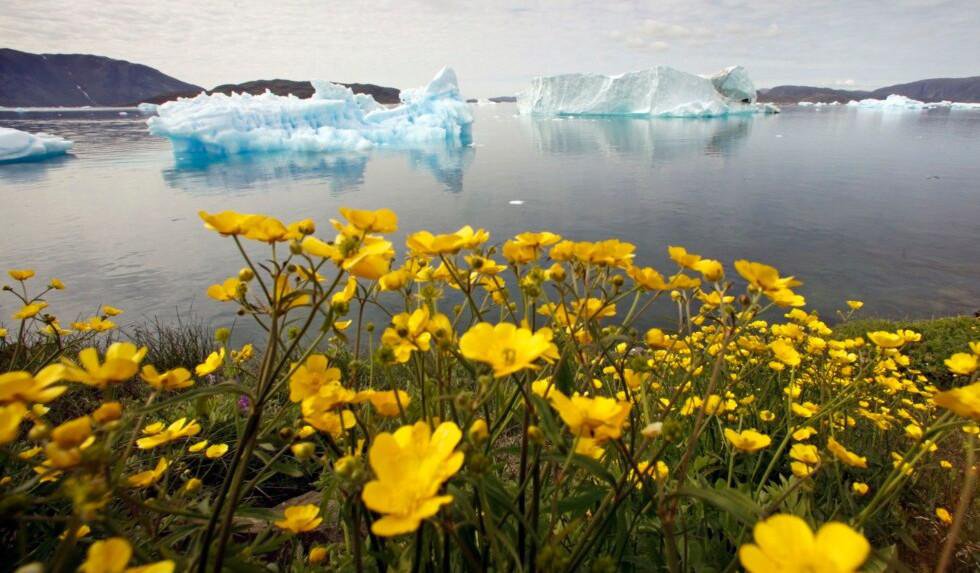 ARCTIC.jpg