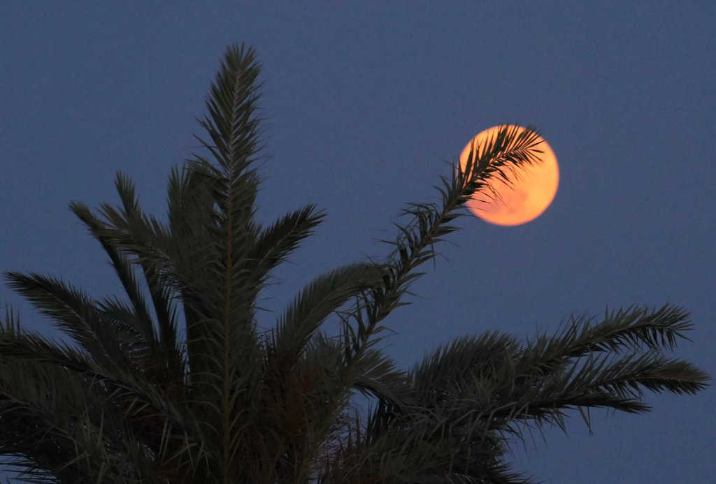 DOC.20250611.8596801.01MOON04.jpg