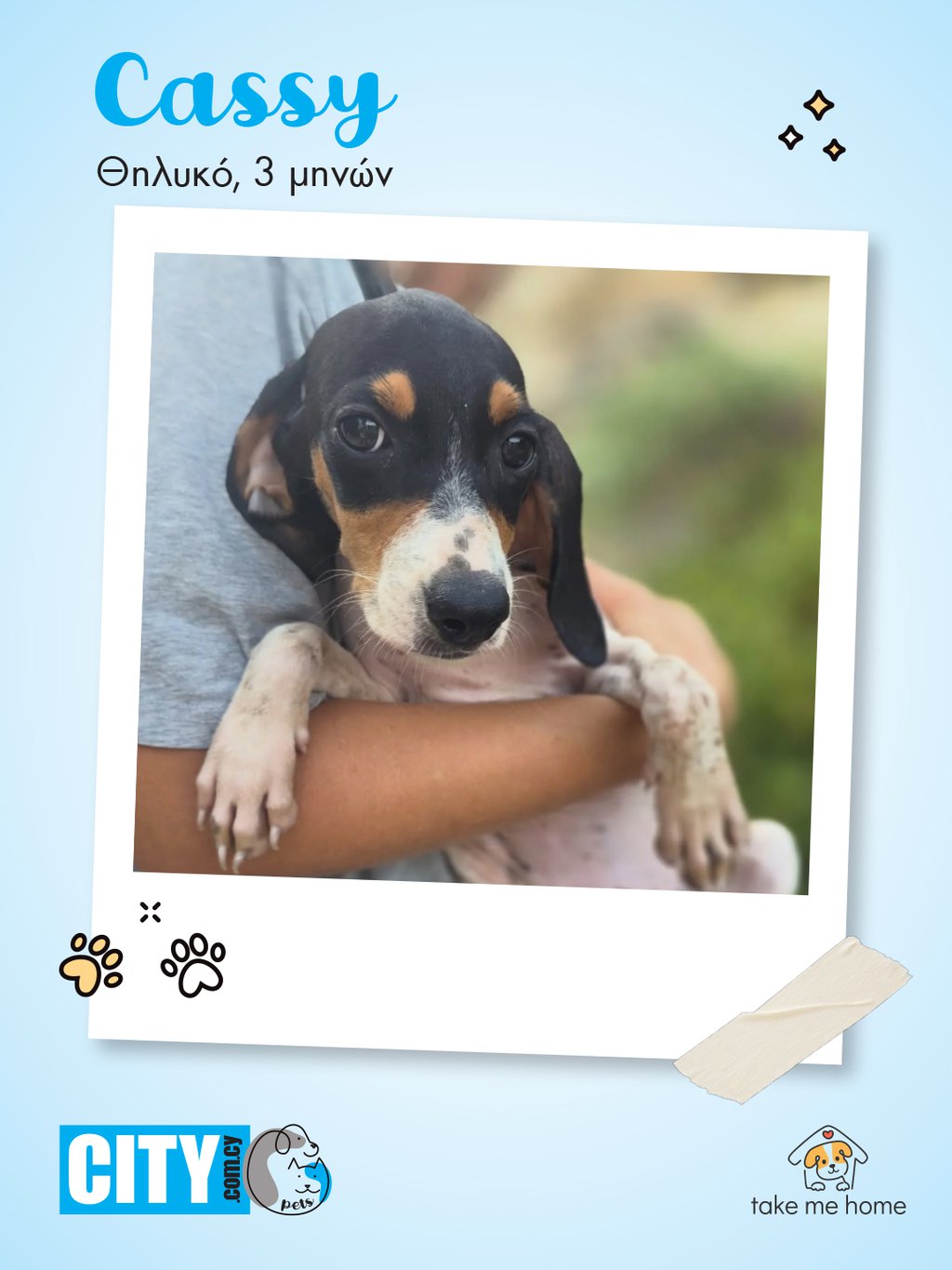 Pets Insta Post 1080x1440-1.jpg