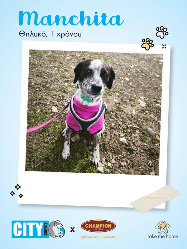 Pets Insta Post 1080x1440-3.jpg