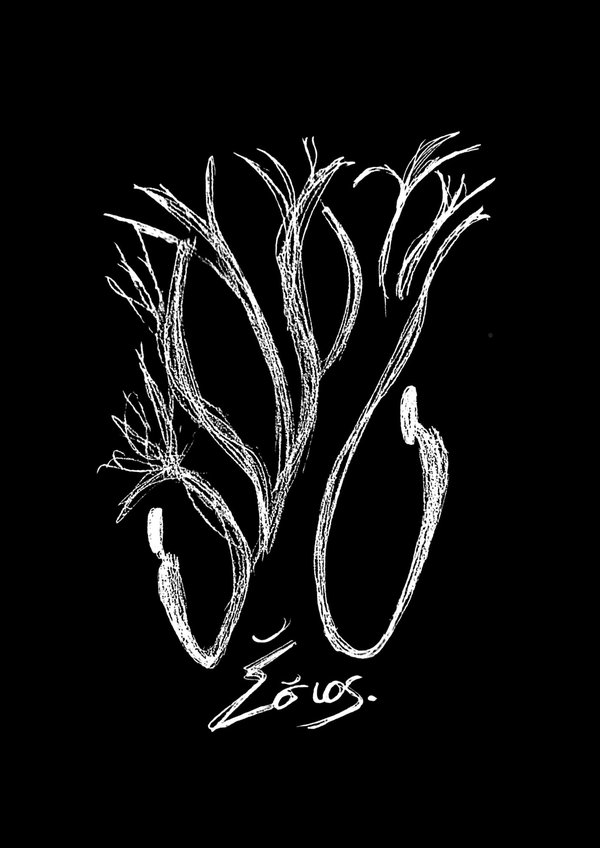 Σσιός Artwork.jpg