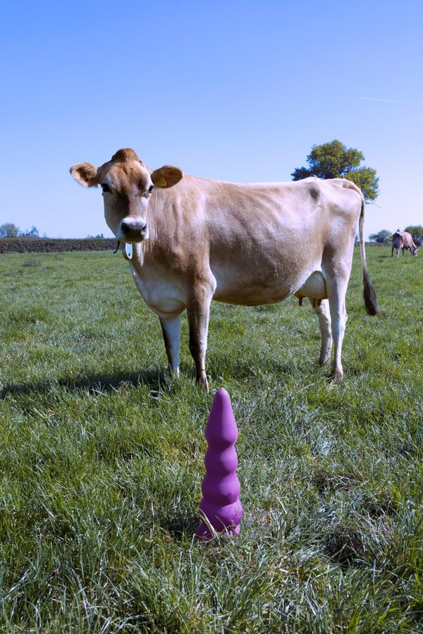 happy-cow-sex-toys-1_city.jpg