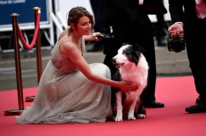 messi-the-dog-cannes-2.jpg